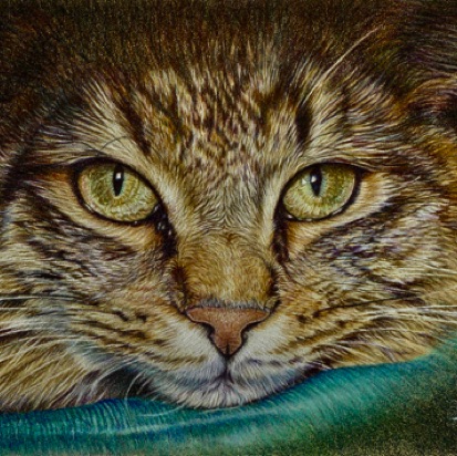 Johny close-up sun 25.5 hours
Sand Pastelmat board
6" x 9"
Ref: Véronique Désilets